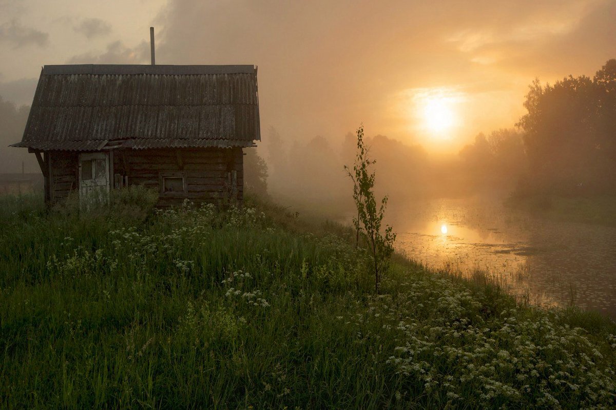 яндекс.картинки