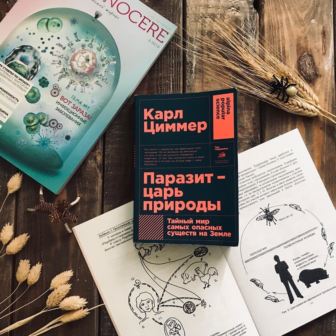 Фото из Инстаграма @red_med_books