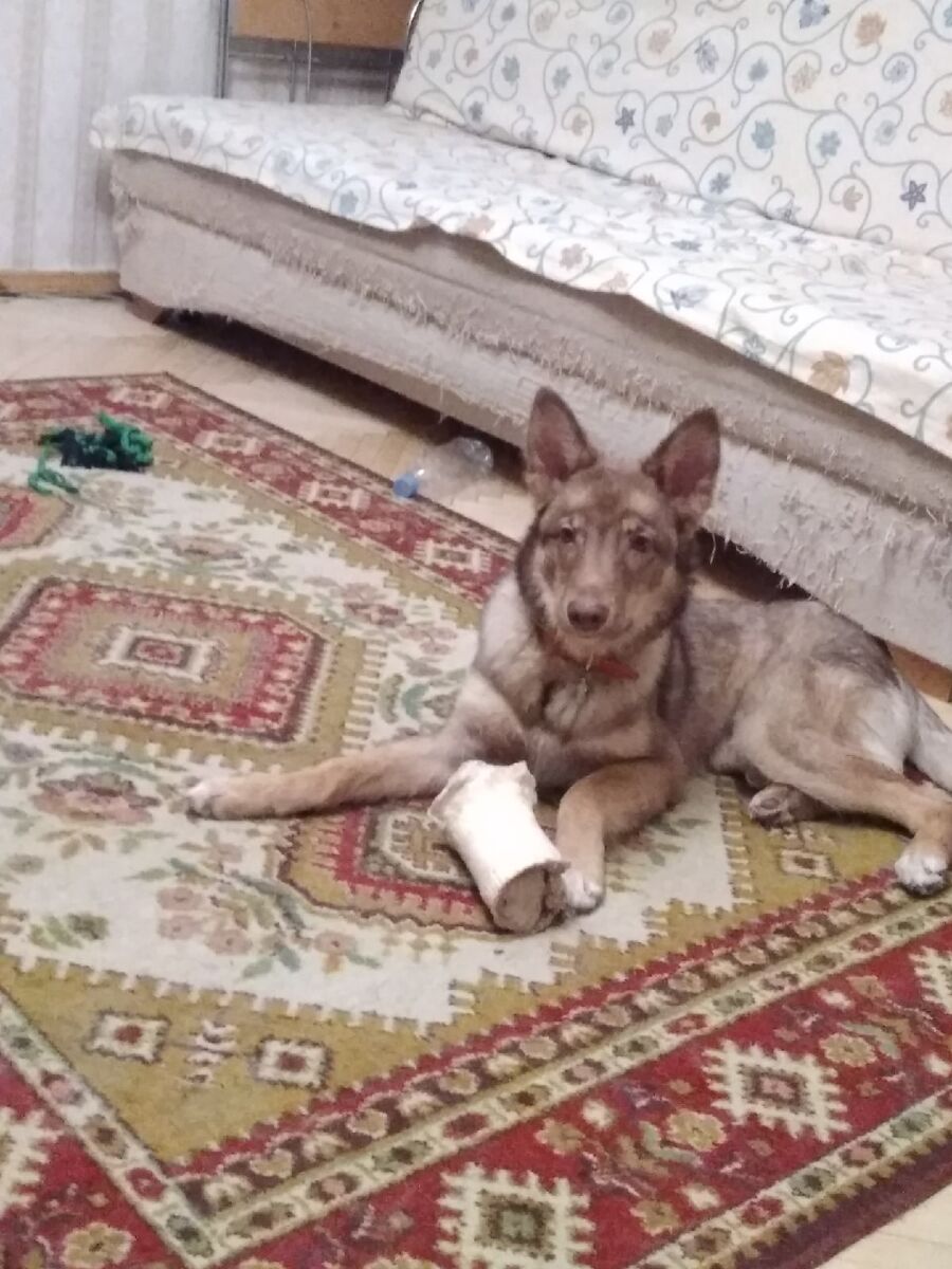 Ксюха, 9 месяцев