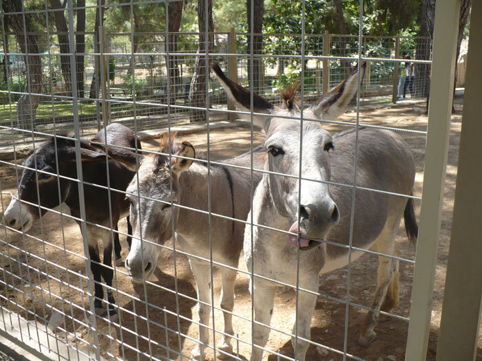 Тюменский зоопарк