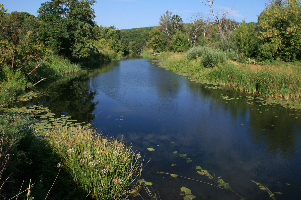 Фото: взята с интернета