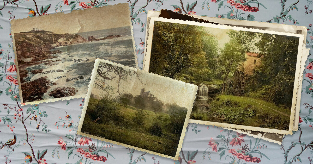 Иллюстрации: Ольга Кириллова