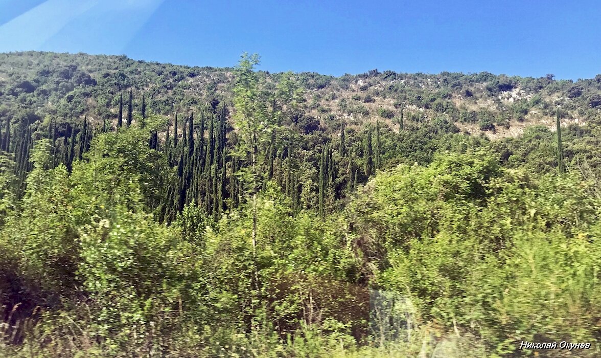 1. Склоны холмов неподалёку от границы Хорватии и Черногории (вид в сторону моря).