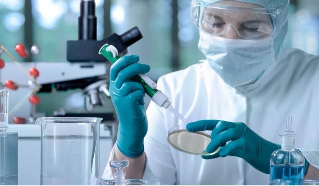 Яндекс картинки 