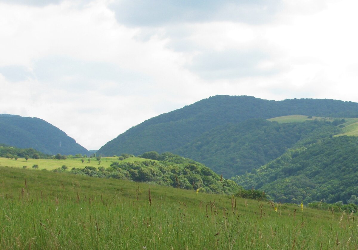 Вид на Кувинское ущелье