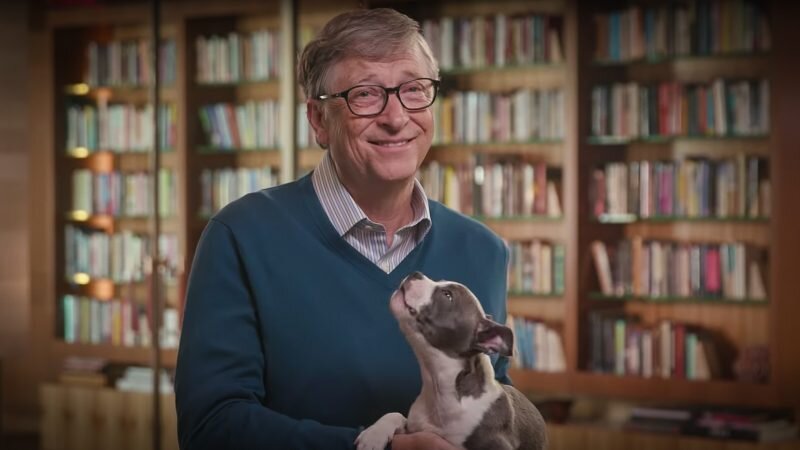 https://www.theladders.com/career-advice/bill-gates-wants-you-to-read-these-books-this-summer-and-he-uses-puppies-to-do-it