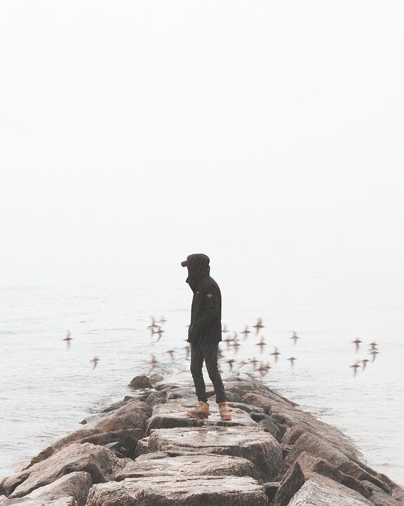 Фото взято с сайта https://pixabay.com/ru/ 