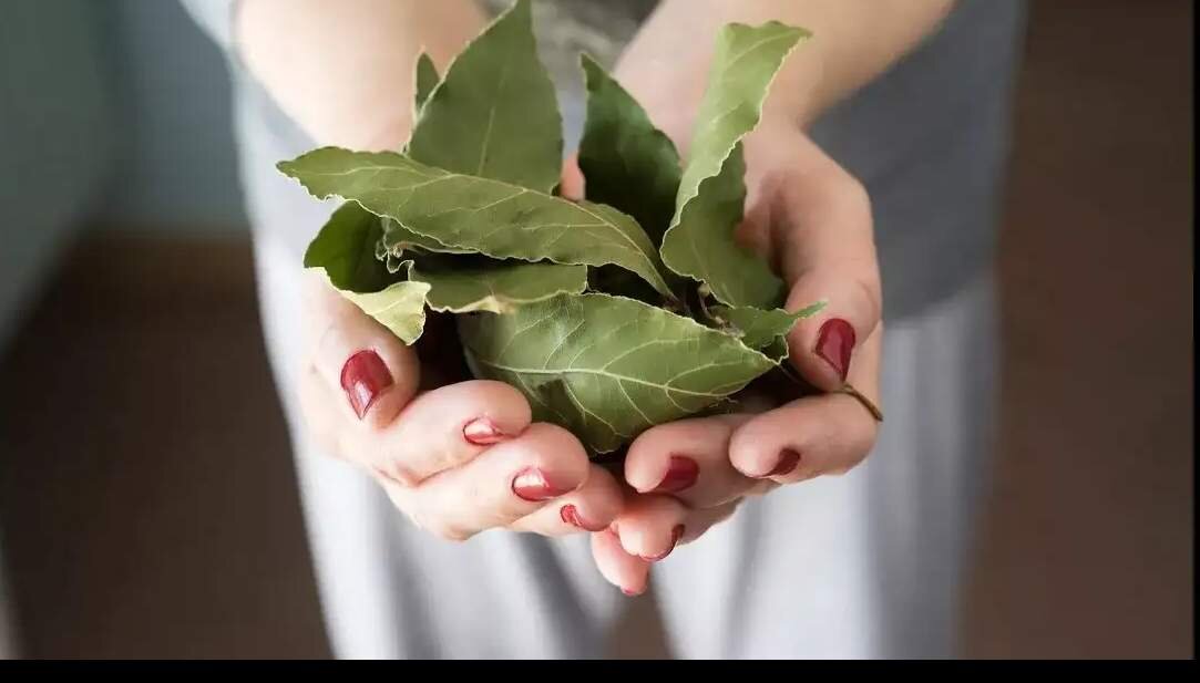 Не только приправа в руках хозяйки