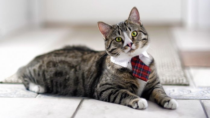 15.09.2018Илья Захаров