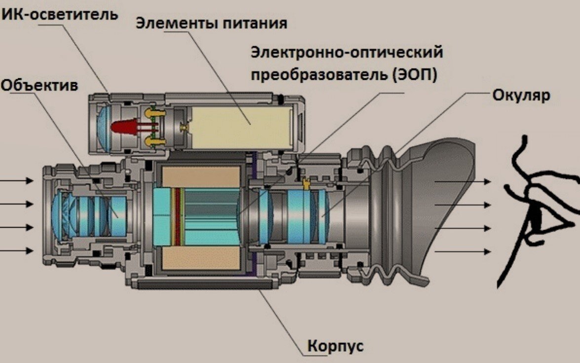 Фото взято из общего доступа в интернете.