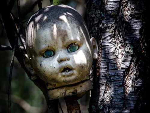 Вместо  ностальгических воспоминаний о детстве, которые должно вызвать  словосочетание *Остров Кукол*, у оказавшегося на этом месте человека  невольно мурашки бегут по коже. Смотрящие ото всюду пустые глазницы, изуродованные  игрушечные тельца примотанные проволокой к ветвям деревьев – зрелище не  для слабонервных. Еще более пугающий вид этому жуткому арт-объекту  придала сама природа, добавив пугающих красок влияния времени.