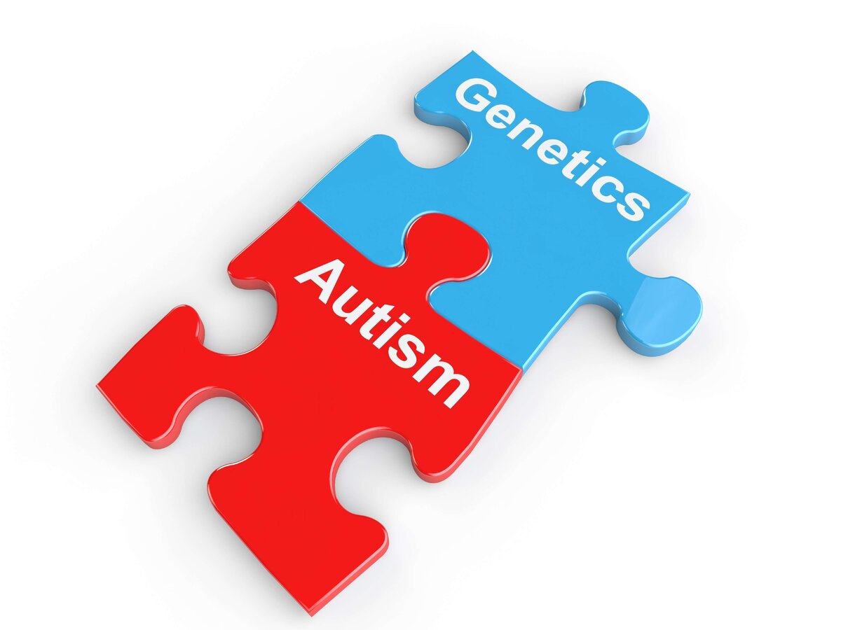  Исследования ученых показали, что существует определенная связь между аутизмом и генетическими изменениями фрагментов ДНК, ответственных за изменения в генах в головном мозге.