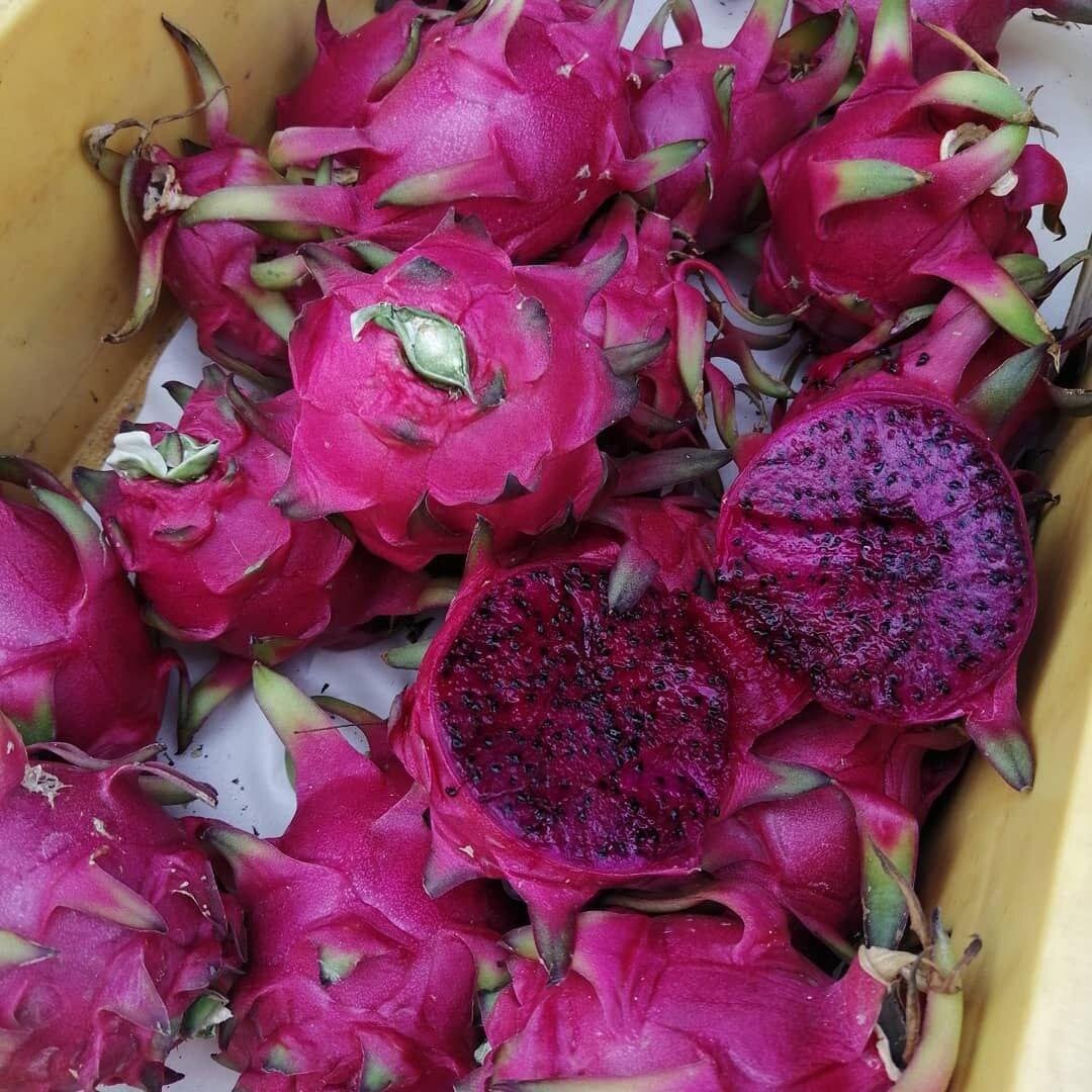 Питахайя (Драконовый фрукт)