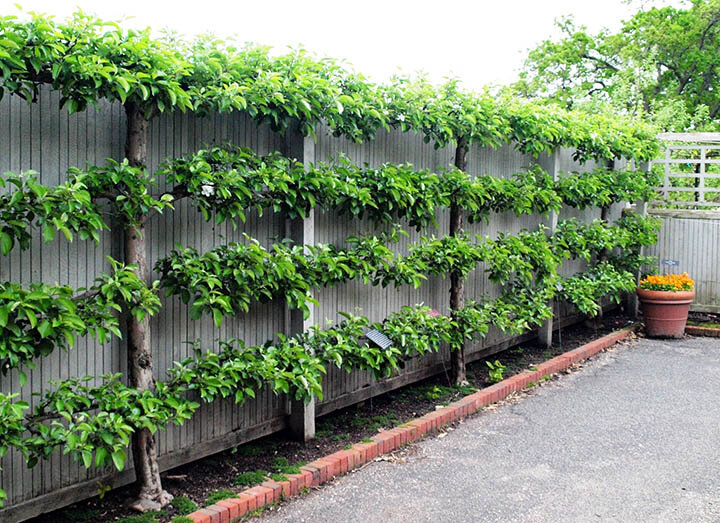 Фото: nedvio.com/wp-content/uploads/2020/03/n07-62.jpg