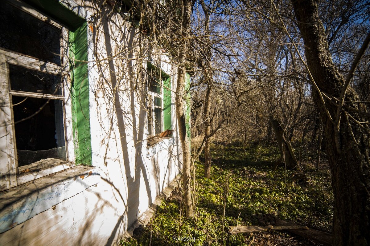 Братики в чернобыле. Зона отчуждения кладбища. Село Денисовичи в Чернобыле. Заброшенное кладбище Припяти. Чистогаловка Чернобыль.