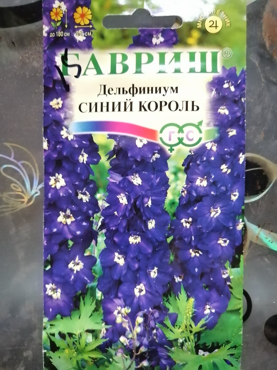 Статьи - Стратификация семян дельфиниумов