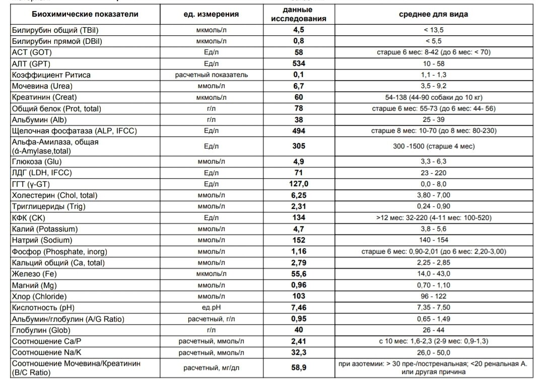 Что значит биохимический. Биохимические показатели крови норма. Биохимический анализ крови расшифровка. Таблица биохимии крови расшифровка. Биохимические показатели крови расшифровка.