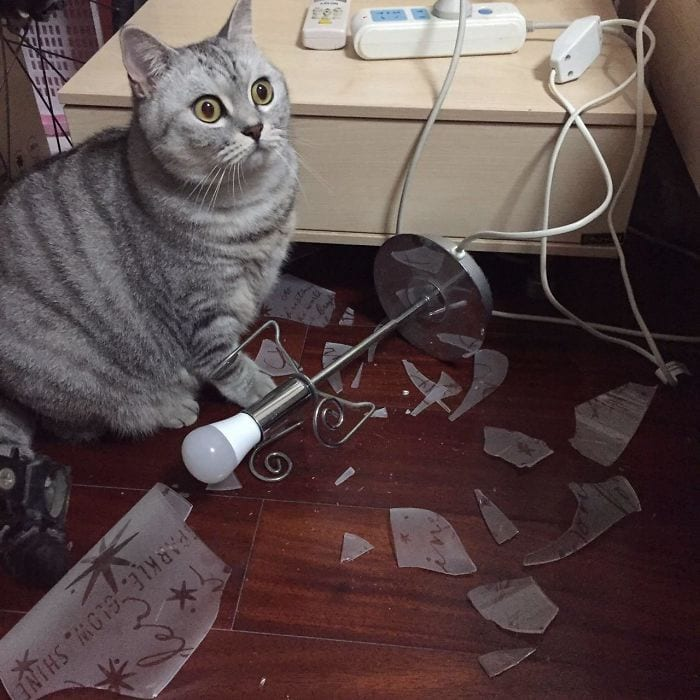 Фото из открытого источника с сайта https://www.google.com/search?q