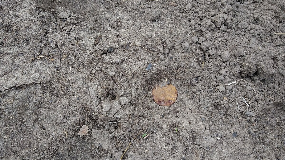 И почти сразу же нашла "денюжку". Работа. конечно же, сразу застопорилась.