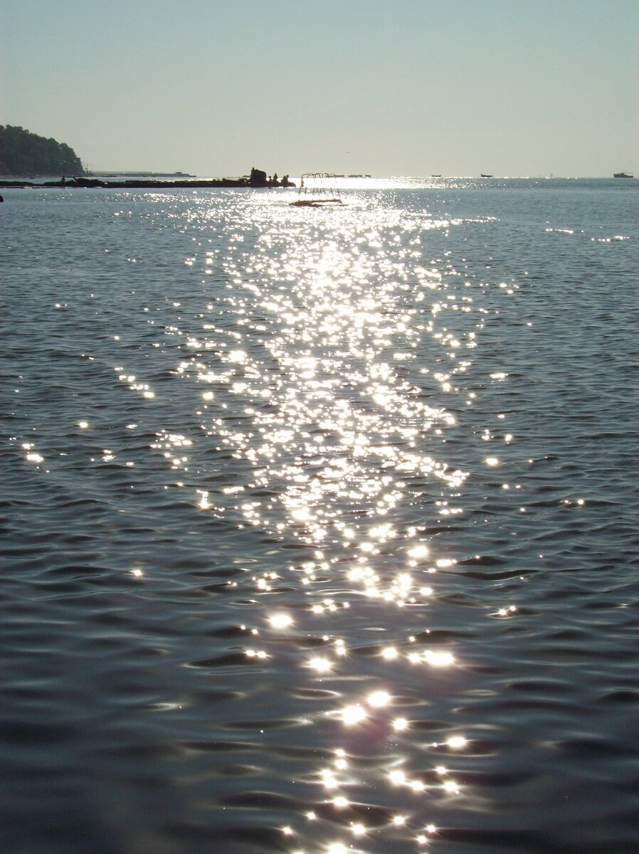 Азовское море, Таганорогский залив. Мой личный архив. Все фото делаю  сама.