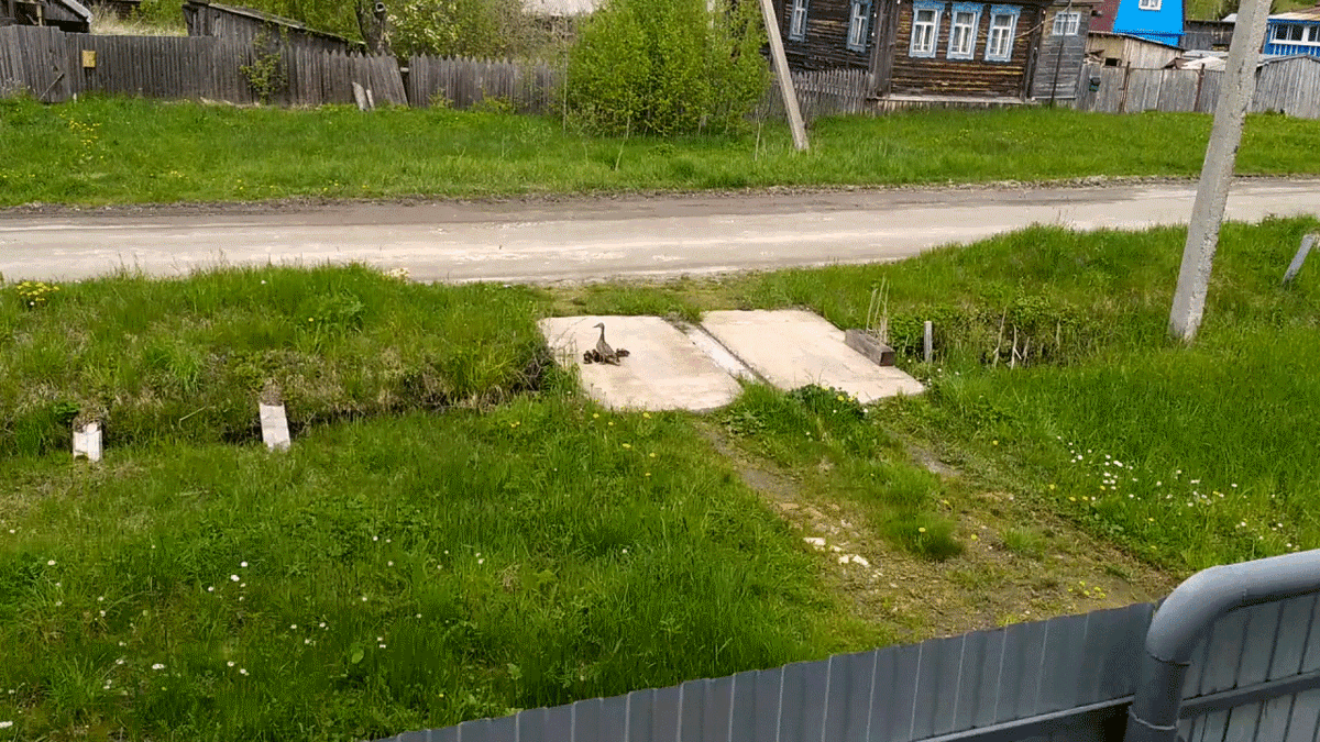 Авторское видео из личного архива