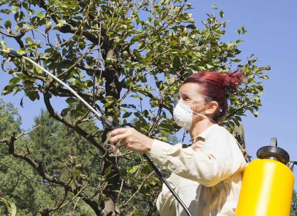 Источник stopklopu.com