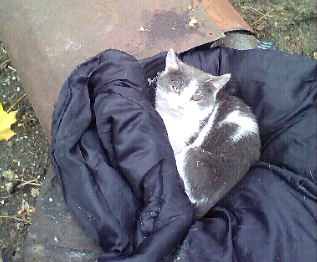 Это не давняя история, это происходит СЕЙЧАС!