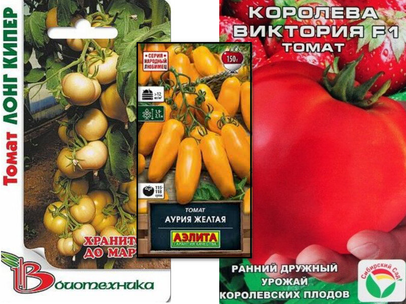 В комментариях огородники советуют сорта томатов, которые им нравятся