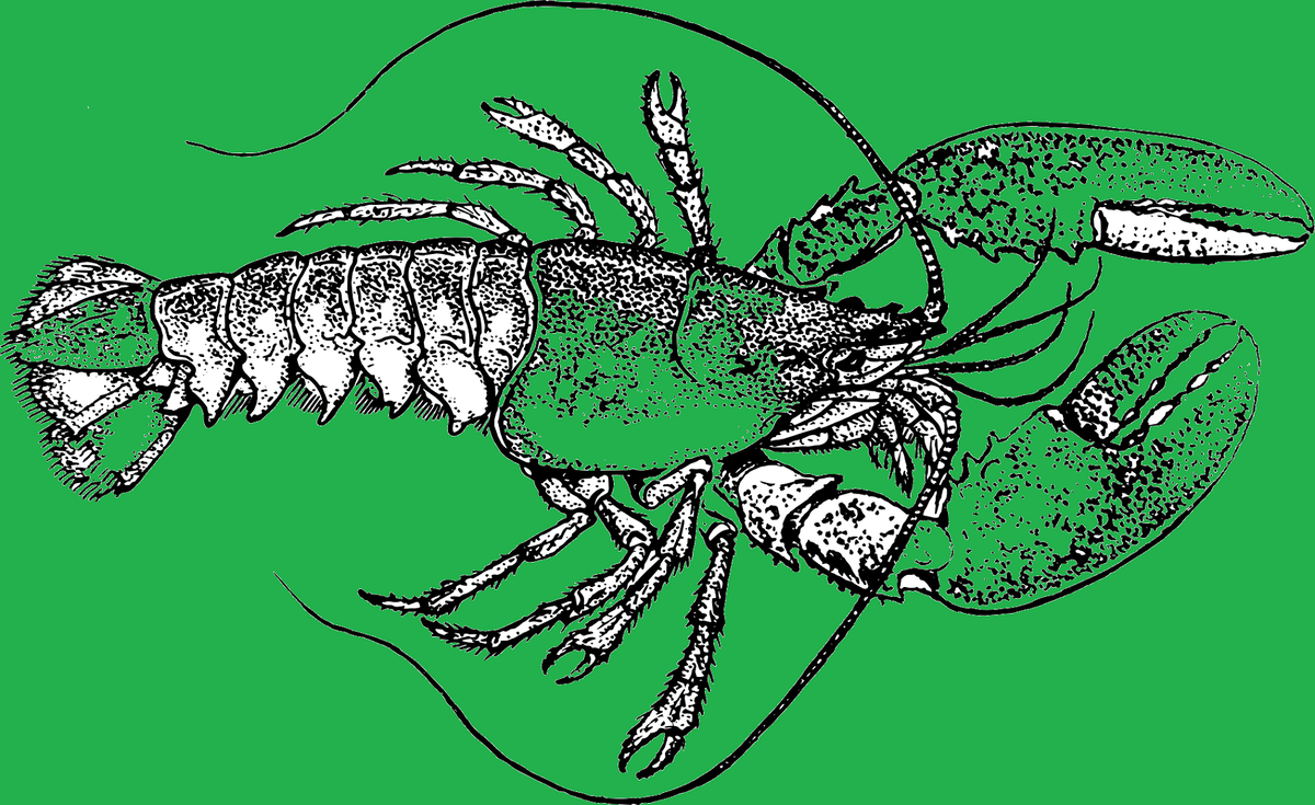 Известные люди, родившиеся под знаком зодиака Рак