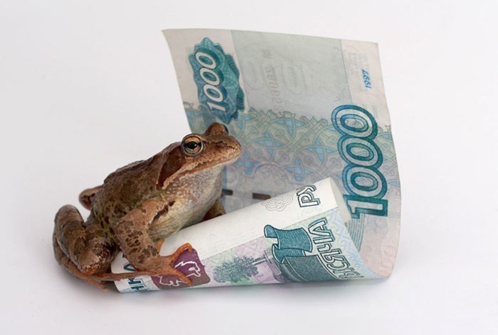 Фото из открытых источников