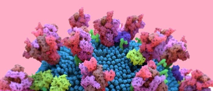 Мы видим новый  штамм COVID-19.