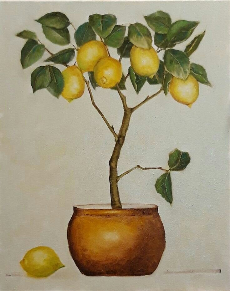 Фото из интернета