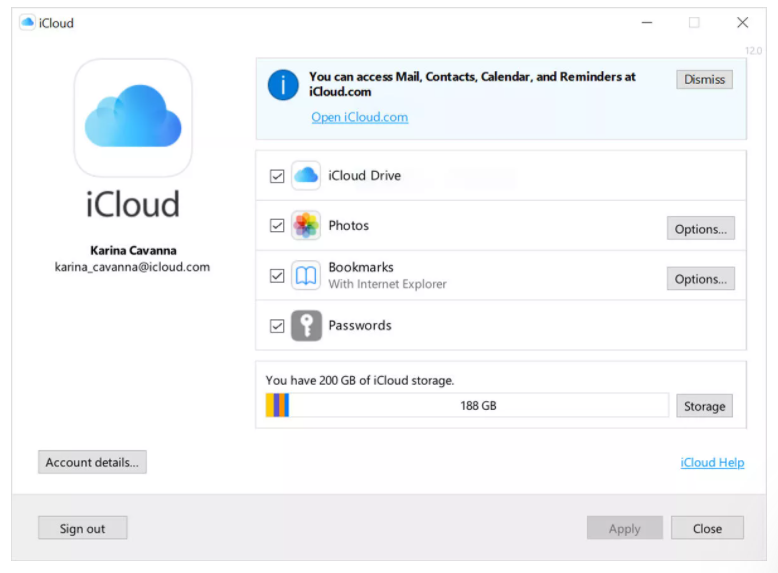 Так выглядит обновленное приложение iCloud для Windows с новой функцией паролей.