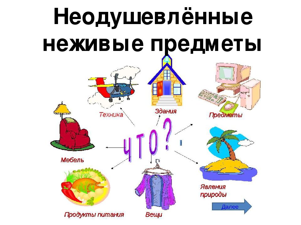 Картинки одушевленные и неодушевленные имена существительные
