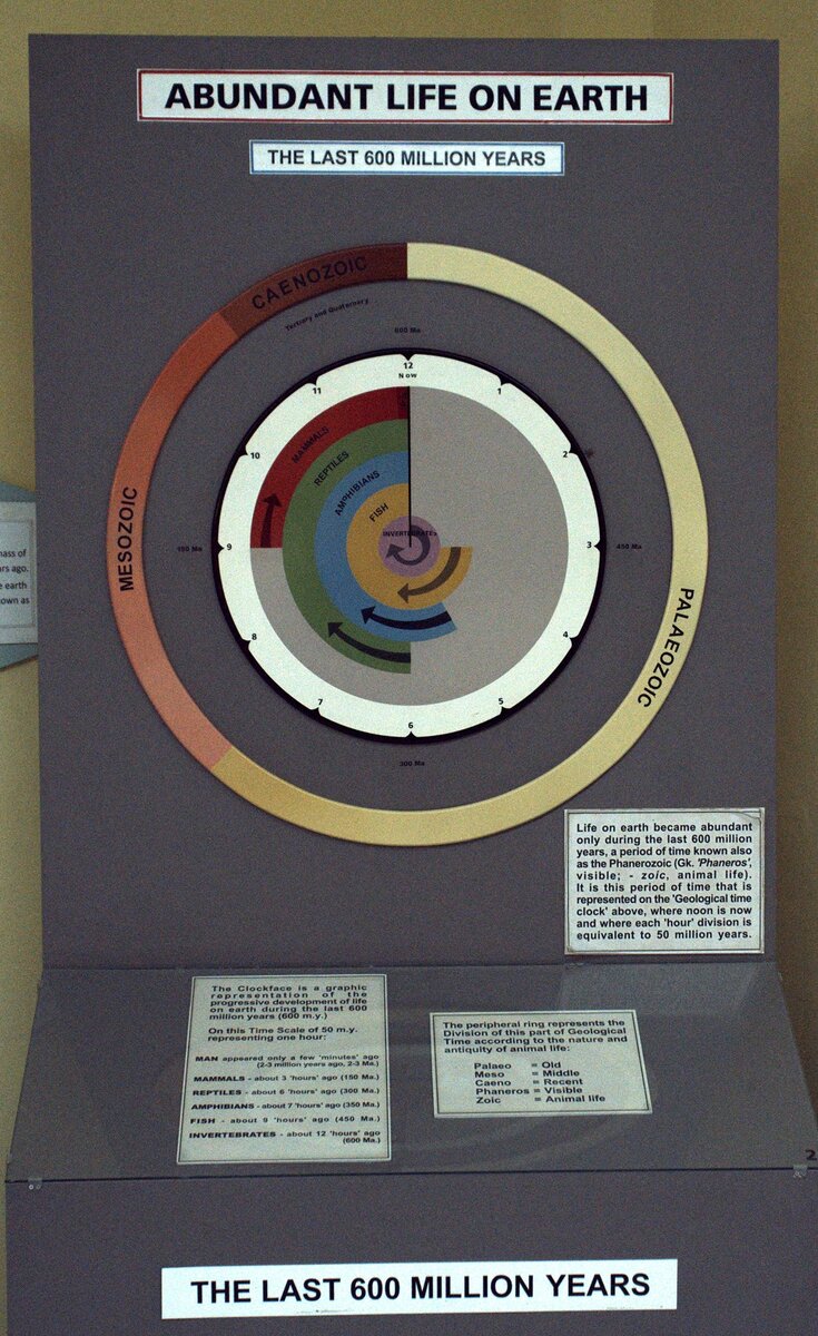 Это "археологические часы" показывают бренность нашего существования по сравнению в возрастом нашей планеты.
