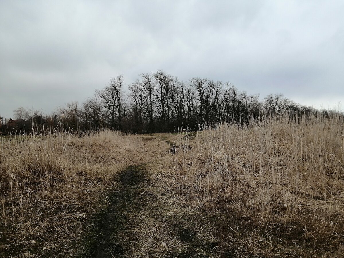 Мартовские пейзажи