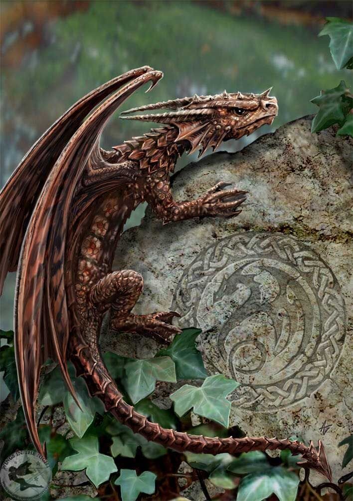 Image result for anne stokes dragon Dragon illustration, Fai. Фото с сайта Pinterest. 