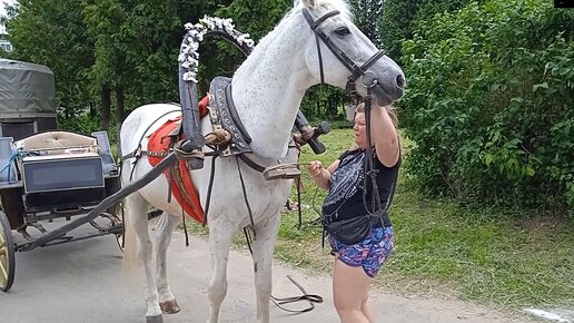 Лошадь не запряжена как пишется