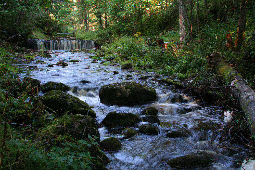 Земля Новгородская великолепна.