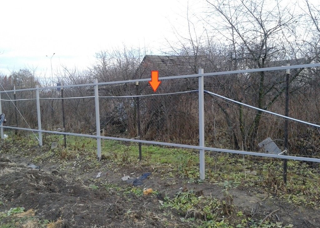 Фото из домашнего архива. Осень 2015 г. Размещение фото без согласия автора - запрещено