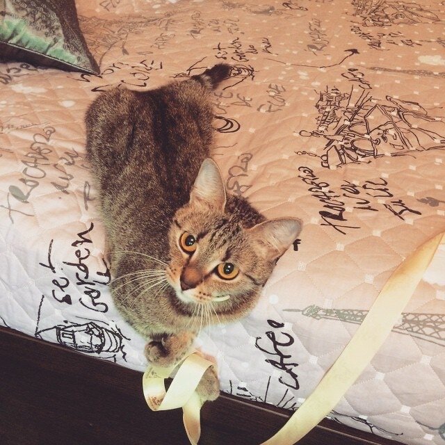 Это наша старшенькая, Маруся. В юности. Была стройная как лань 