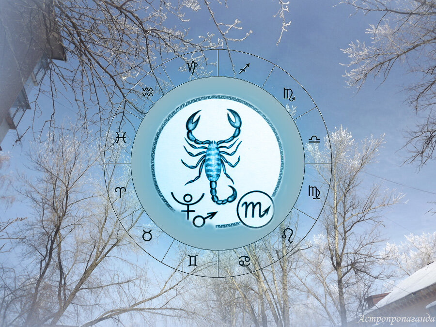 Коллаж Нины Стрелковой. 