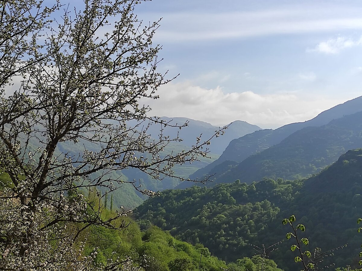 собственные фото автора статьи