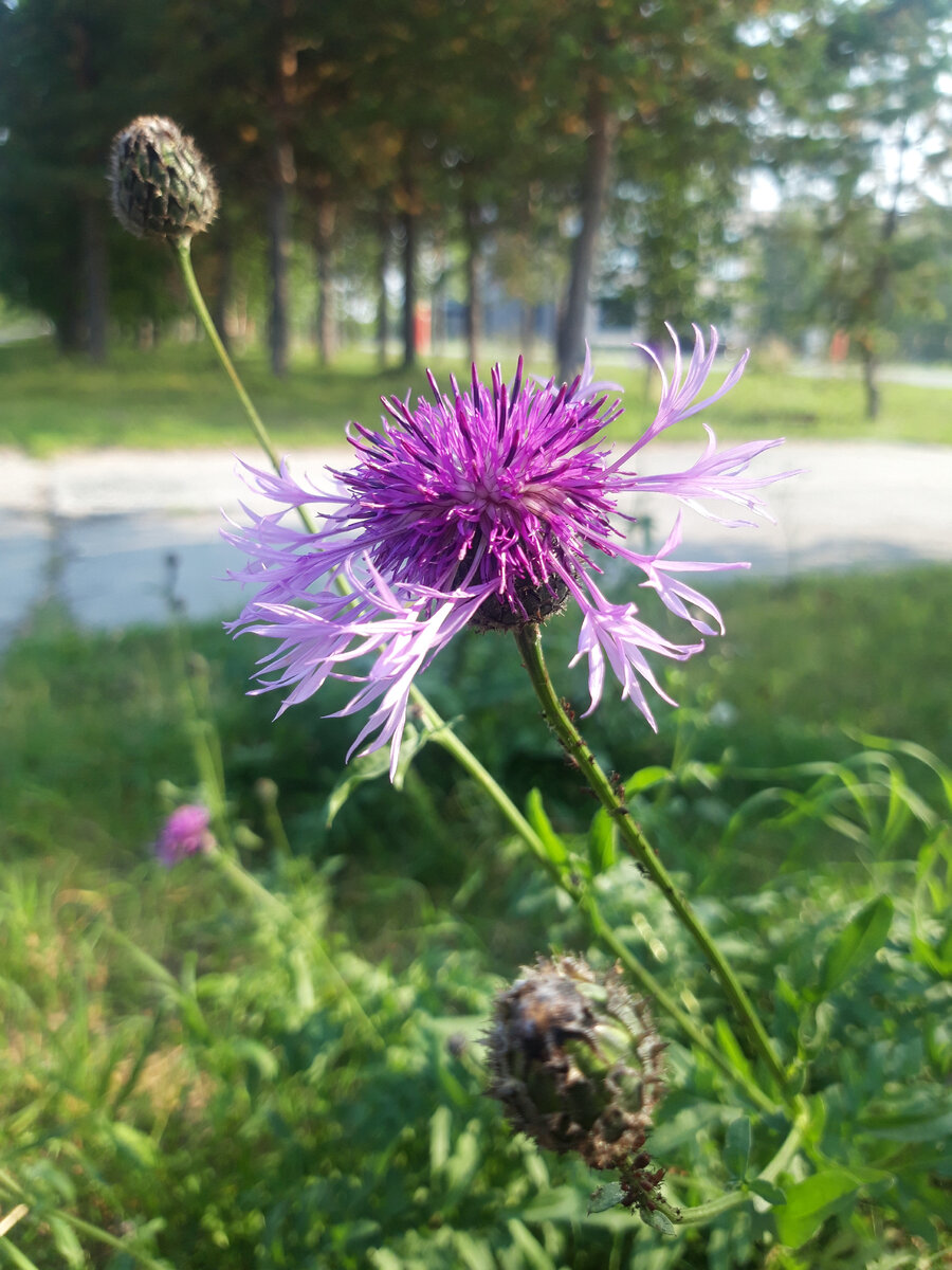Фото: Козынцева У.