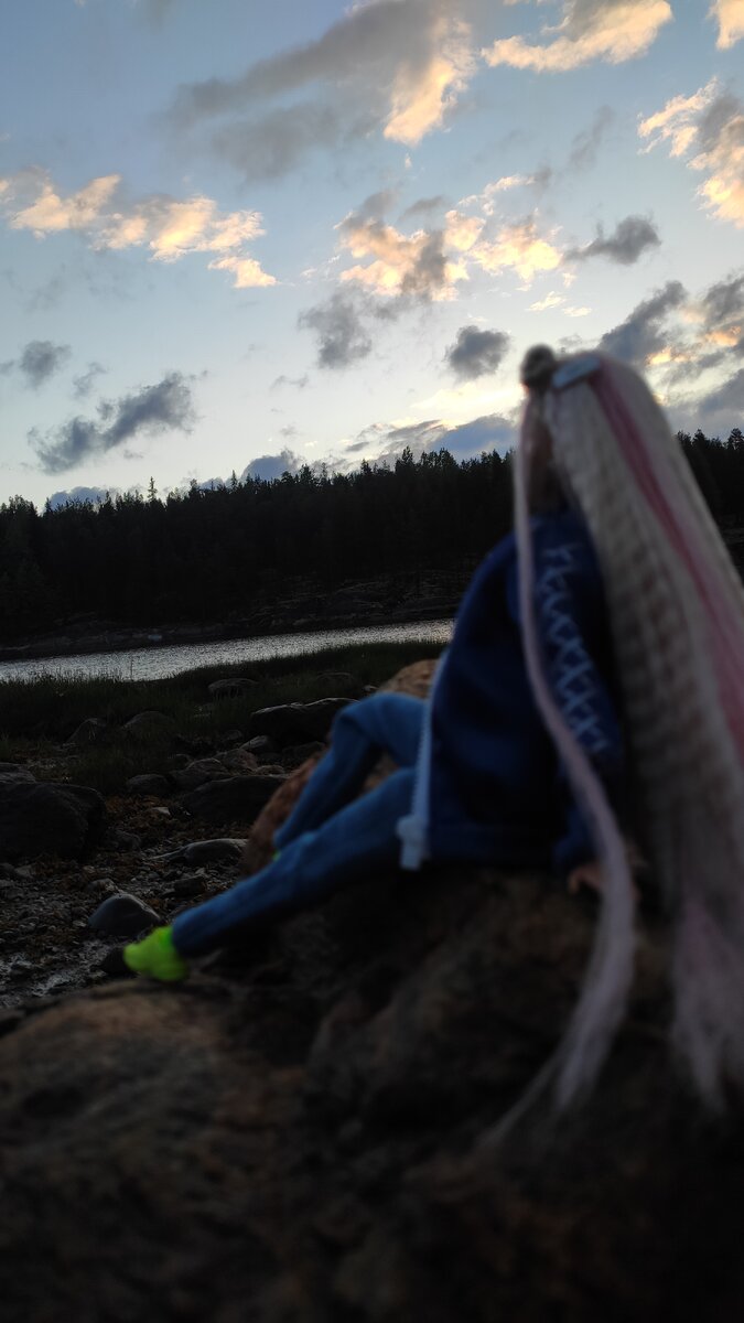 Солнце скрылось за лесом. Но темнее не станет, белые ночи...