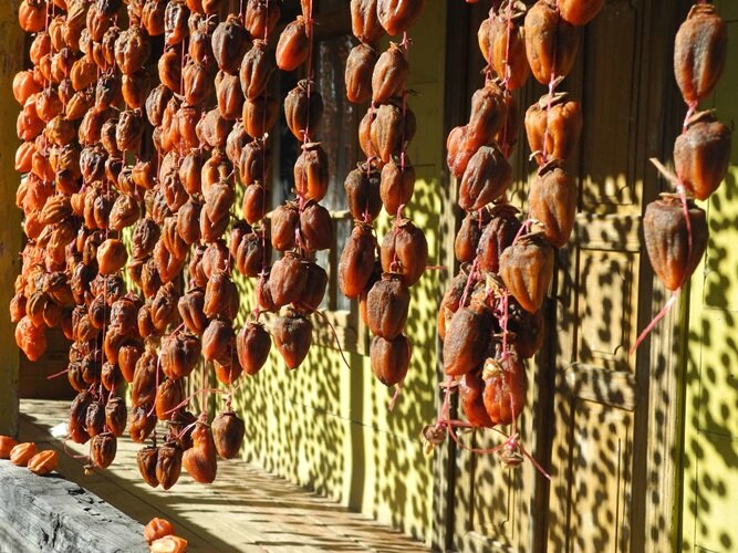 Скопировано в Яндексе