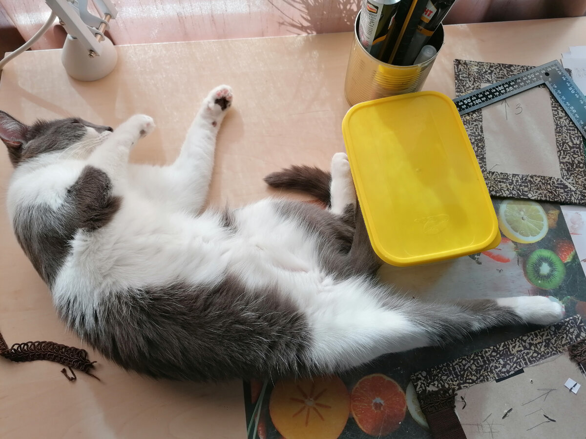 Я тоже не просто так тут валяюсь. Я тебе перпендикуляры замеряю, вот! Смотри на задние лапки, видишь прямой угол?