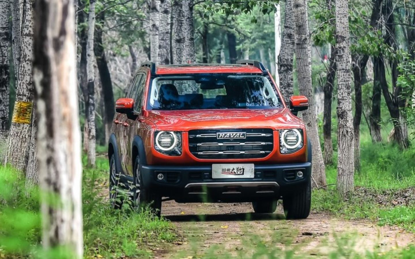 Это не LADA Niva. Это китайская автомобильная хитрость. В России собирают ???0