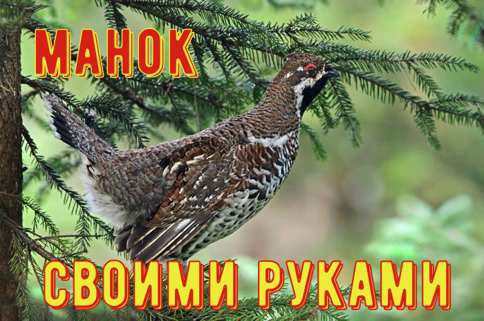 Манок на рябчика своими руками - YouTube | Interactive, Youtube, Make it yourself