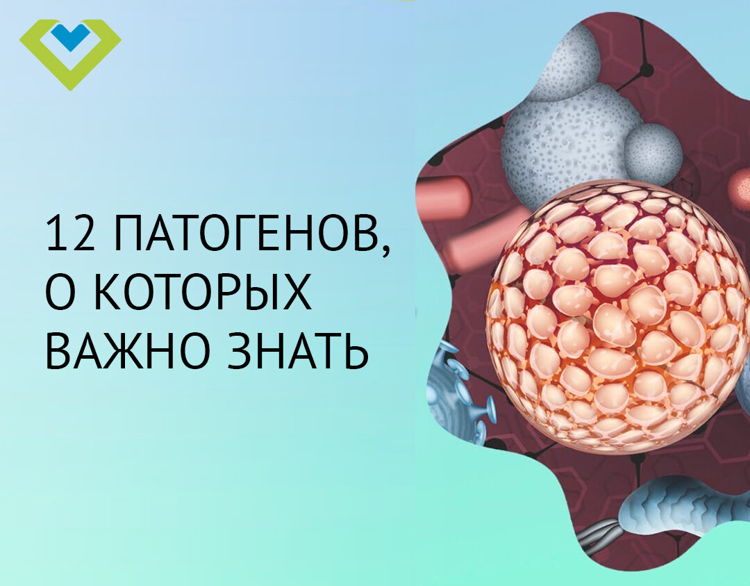 Источник: macrovector, freepik.com